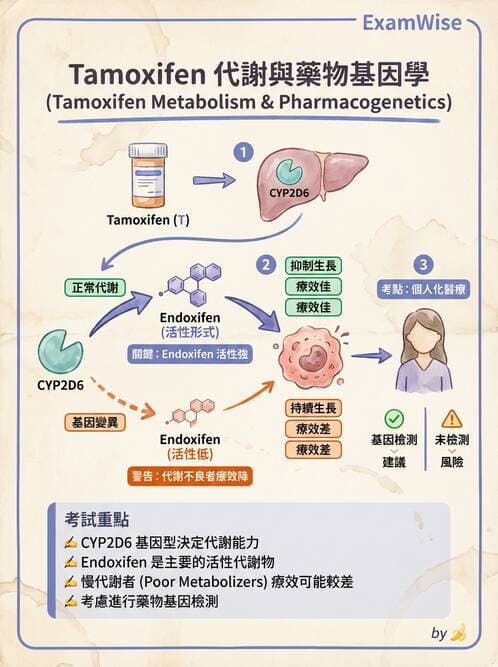 醫檢師 - 藥物相關基因檢測 - AI 圖文解析預覽