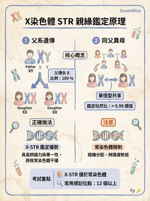 醫檢師 - 腫瘤疾病基因檢測 - AI 圖文解析預覽