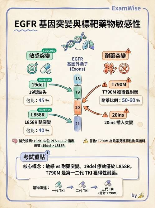 醫檢師 - 腫瘤疾病基因檢測 - AI 圖文解析預覽