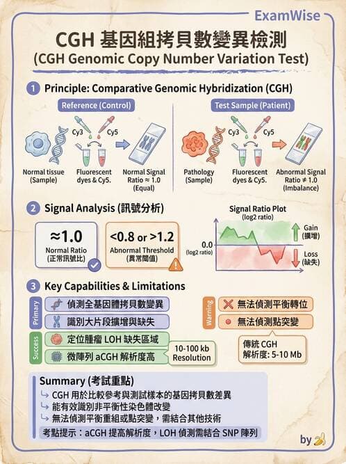 醫檢師 - 藥物相關基因檢測 - AI 圖文解析預覽