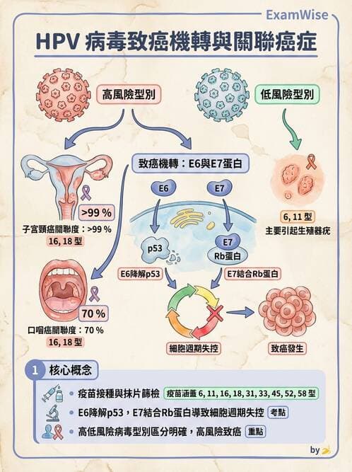 醫檢師 - 藥物相關基因檢測 - AI 圖文解析預覽