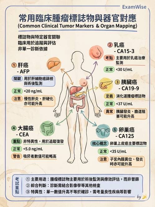 醫檢師 - 腫瘤疾病基因檢測 - AI 圖文解析預覽
