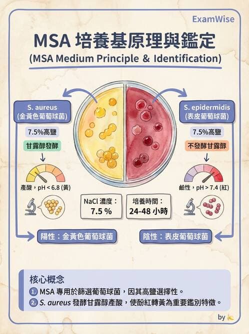 醫檢師 - 檢驗基礎技術 - AI 圖文解析預覽