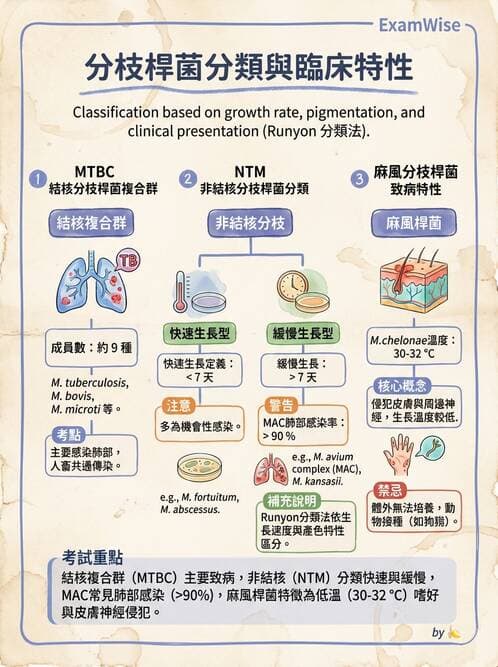 醫檢師 - 分枝桿菌 - AI 圖文解析預覽