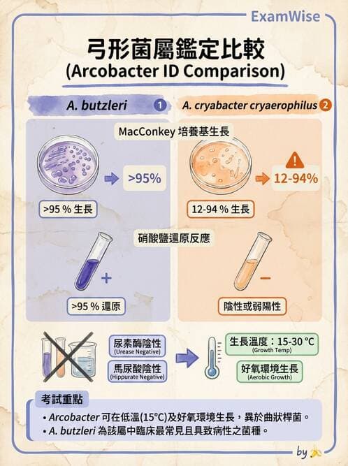 醫檢師 - 弧菌、氣單胞菌與彎曲菌 - AI 圖文解析預覽