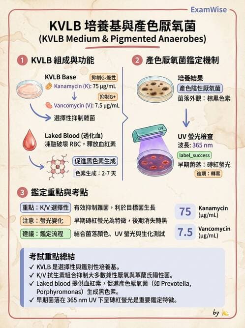醫檢師 - 厭氧菌 - AI 圖文解析預覽
