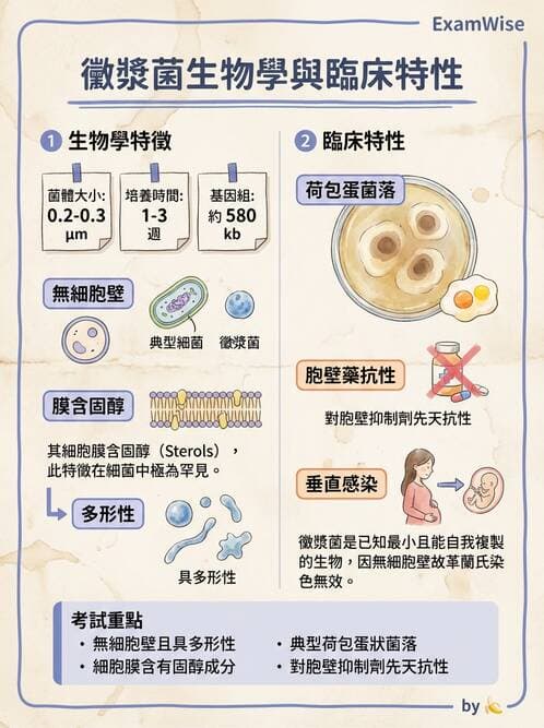 醫檢師 - 特殊病原體 - AI 圖文解析預覽