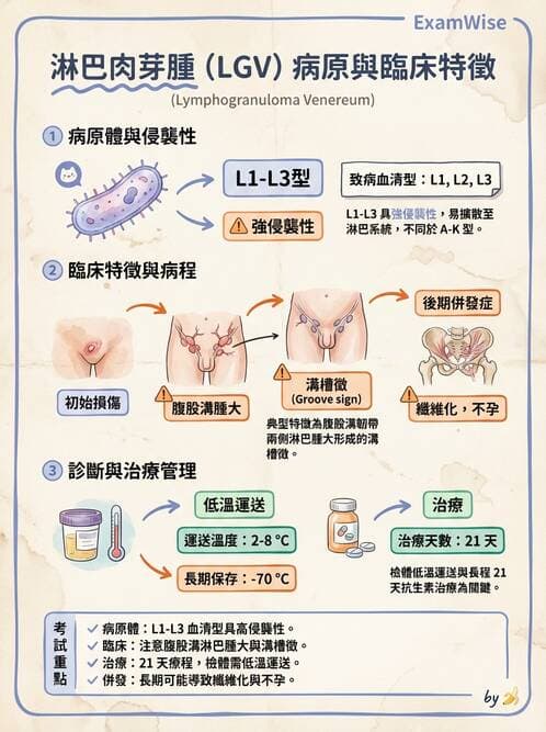 醫檢師 - 特殊病原體 - AI 圖文解析預覽