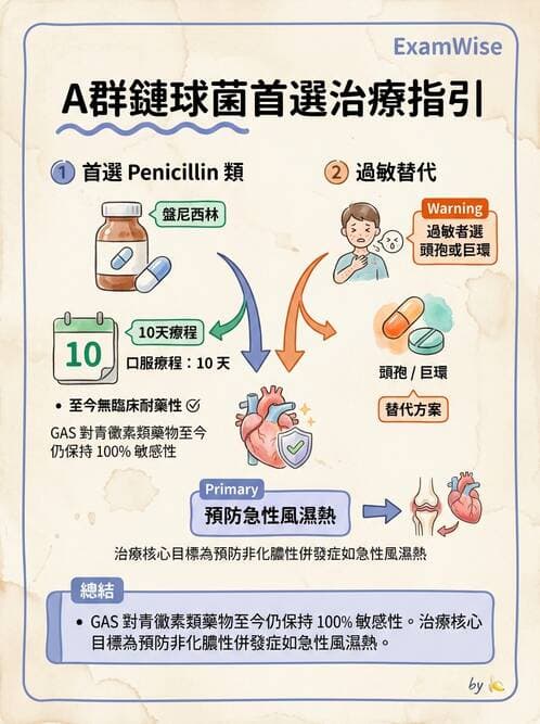 醫檢師 - 抗微生物製劑 - AI 圖文解析預覽