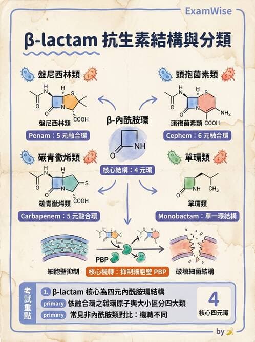 醫檢師 - 抗微生物製劑 - AI 圖文解析預覽