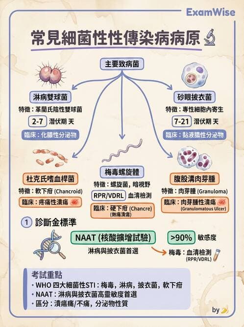 醫檢師 - 厭氧菌 - AI 圖文解析預覽