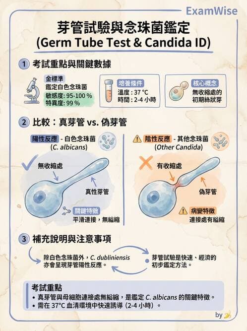 醫檢師 - 系統性與機會性真菌感染 - AI 圖文解析預覽