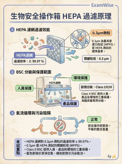 醫檢師 - 實驗室安全與微生物特性 - AI 圖文解析預覽
