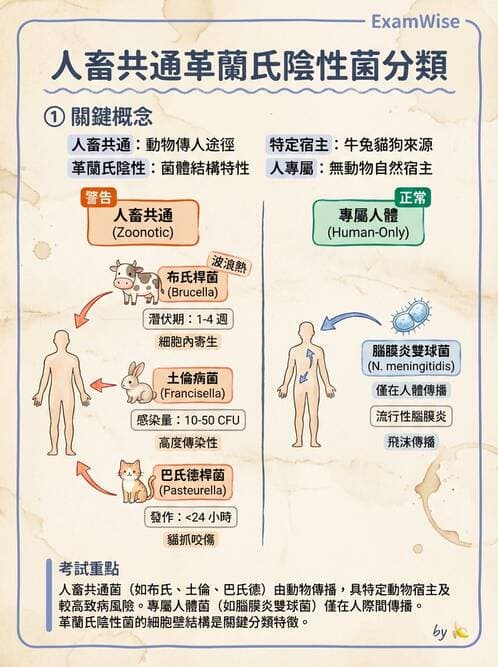 醫檢師 - 感染症與院內感染 - AI 圖文解析預覽