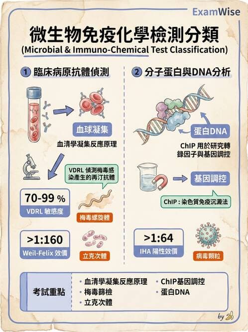 醫檢師 - 檢驗基礎技術 - AI 圖文解析預覽