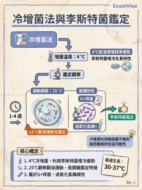 醫檢師 - 鏈球菌與其他革蘭氏陽性桿菌 - AI 圖文解析預覽