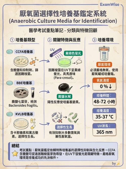 醫檢師 - 厭氧菌 - AI 圖文解析預覽