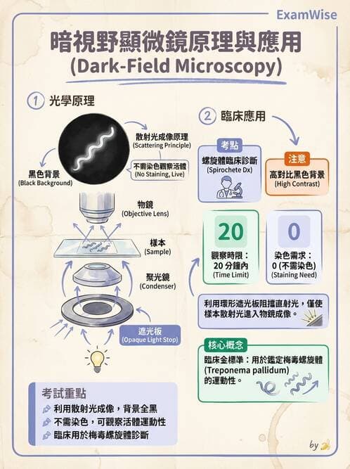 醫檢師 - 特殊病原體 - AI 圖文解析預覽