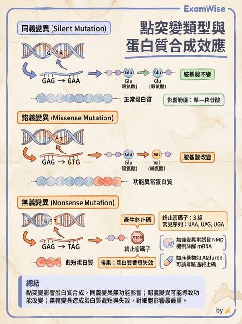 醫檢師 - 基本概念與儀器分析 - AI 圖文解析預覽