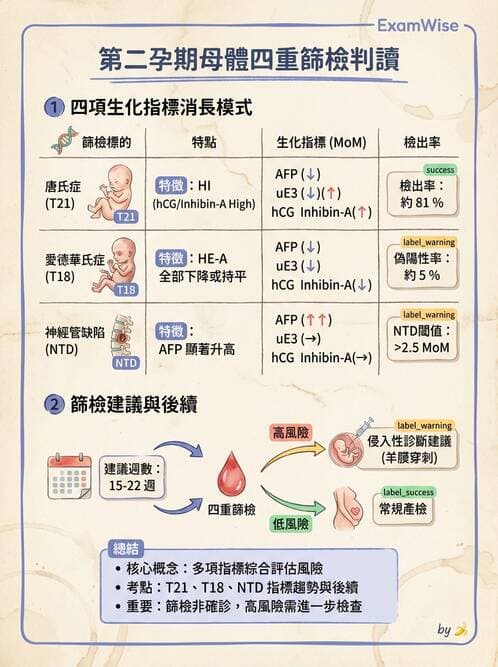 醫檢師 - 腎上腺與生殖內分泌 - AI 圖文解析預覽