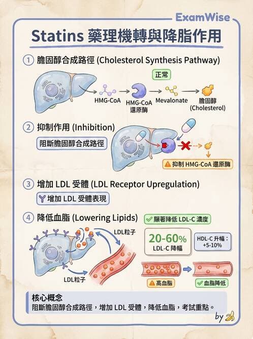 醫檢師 - 脂質代謝與酮體 - AI 圖文解析預覽