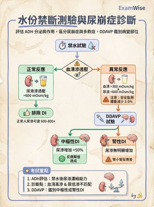 醫檢師 - 甲狀腺與垂體內分泌 - AI 圖文解析預覽