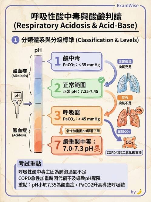 醫檢師 - 血液氣體分析及酸鹼平衡 - AI 圖文解析預覽