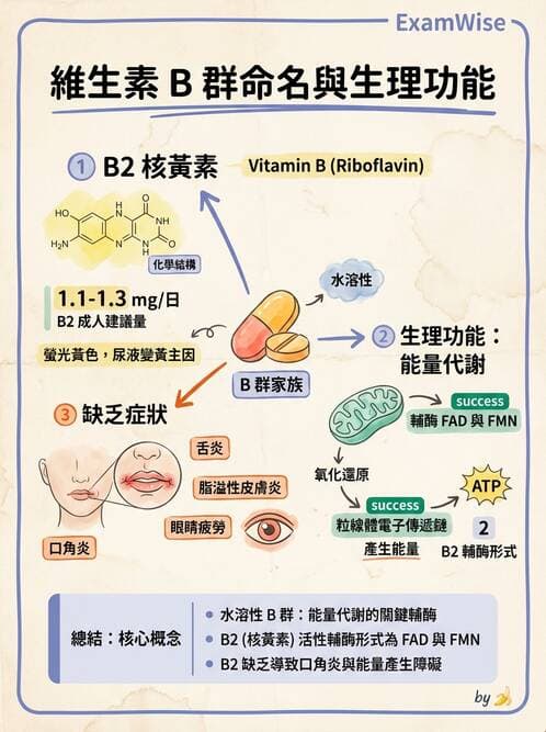 醫檢師 - 維生素 - AI 圖文解析預覽