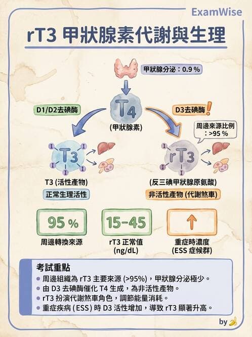 醫檢師 - 甲狀腺與垂體內分泌 - AI 圖文解析預覽