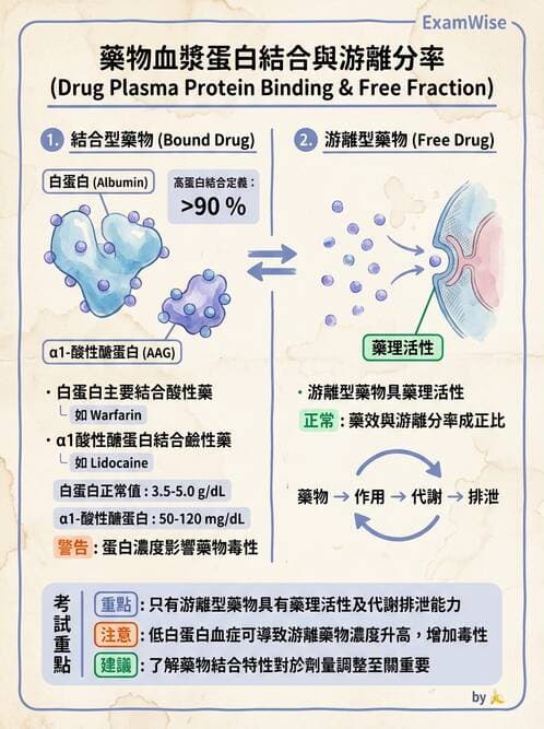 醫檢師 - 治療藥物監測與毒物學 - AI 圖文解析預覽