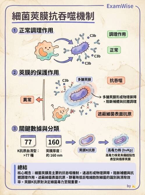醫檢師 - 急性發炎蛋白與微生物感染血清學 - AI 圖文解析預覽