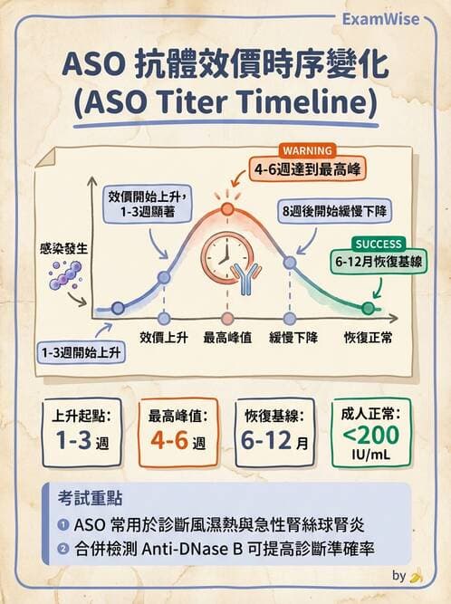 醫檢師 - 急性發炎蛋白與微生物感染血清學 - AI 圖文解析預覽
