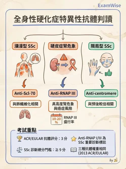 醫檢師 - 其他自體免疫疾病與自體抗體檢驗 - AI 圖文解析預覽