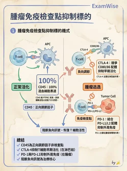 醫檢師 - 腫瘤免疫學免疫療法及疫苗 - AI 圖文解析預覽