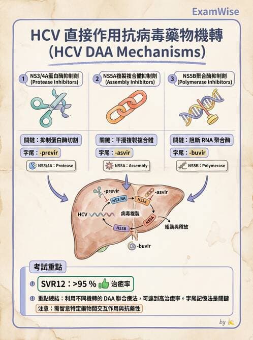 醫檢師 - 黃病毒科與蟲媒病毒 - AI 圖文解析預覽