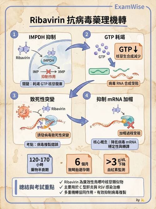 醫檢師 - 抗病毒藥物與疫苗通論 - AI 圖文解析預覽