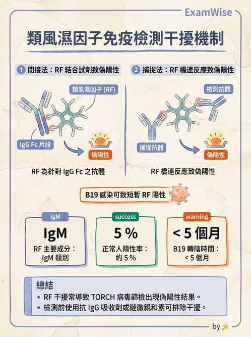 醫檢師 - 病毒檢驗技術 - AI 圖文解析預覽