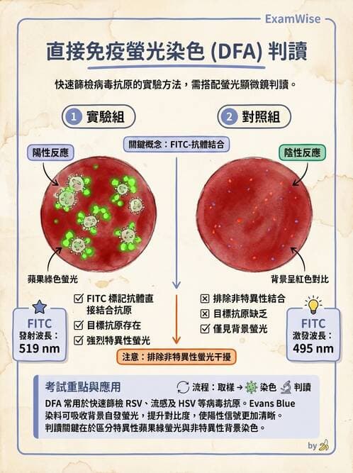 醫檢師 - 病毒檢驗技術 - AI 圖文解析預覽