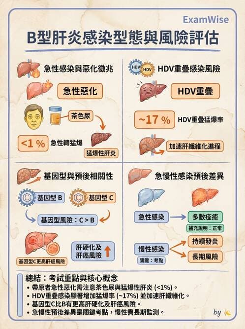 醫檢師 - B型肝炎病毒 - AI 圖文解析預覽