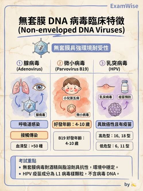 醫檢師 - 病毒檢驗技術 - AI 圖文解析預覽