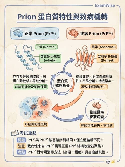 醫檢師 - 朊蛋白與其他DNA相關病原 - AI 圖文解析預覽