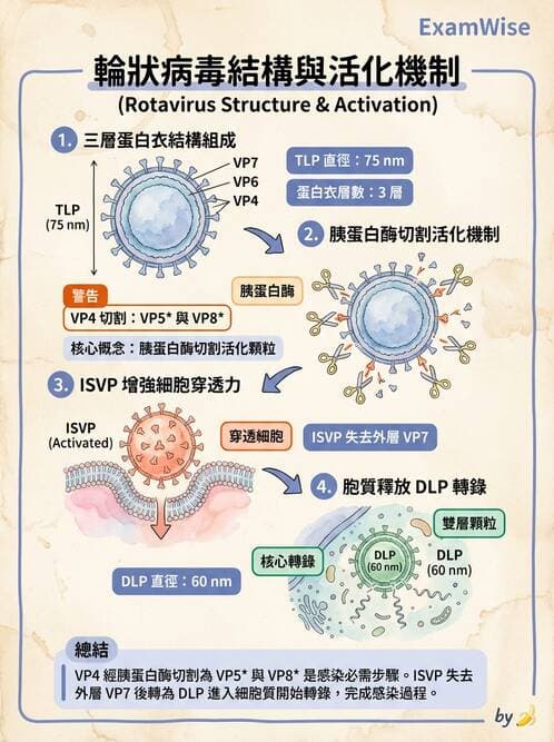 醫檢師 - 其他RNA病毒 - AI 圖文解析預覽