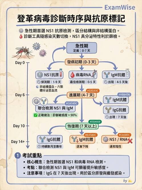 醫檢師 - 黃病毒科與蟲媒病毒 - AI 圖文解析預覽