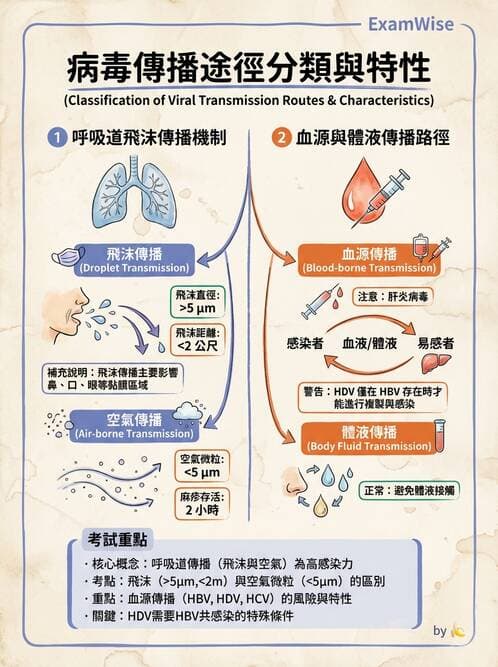 醫檢師 - 其他RNA病毒 - AI 圖文解析預覽