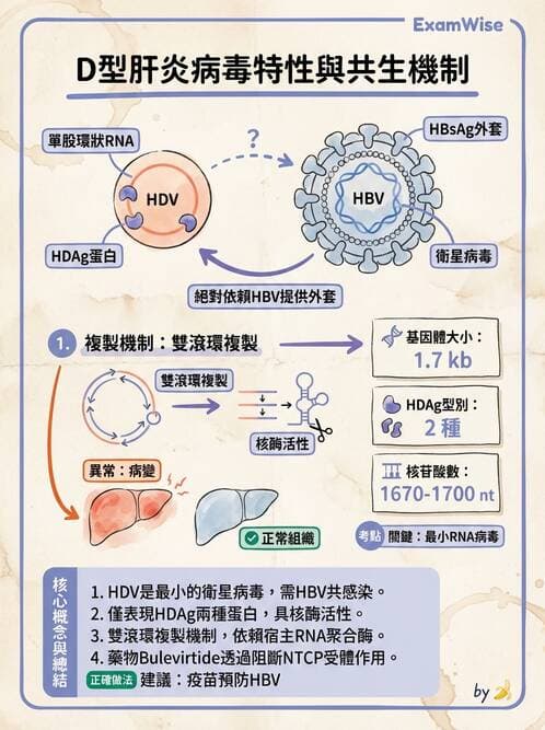 醫檢師 - 其他RNA病毒 - AI 圖文解析預覽