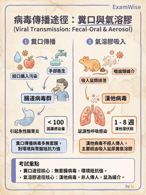 醫檢師 - 其他RNA病毒 - AI 圖文解析預覽