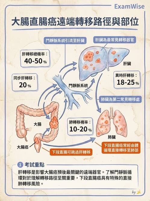 護理師 - 腫瘤及遺傳疾病 - AI 圖文解析預覽
