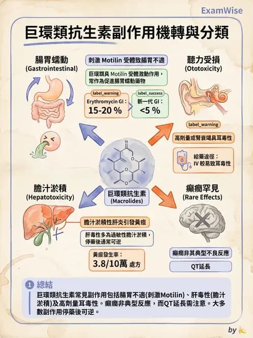 護理師 - 化學治療與免疫調節藥物 - AI 圖文解析預覽
