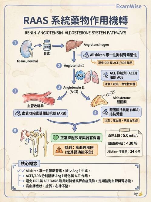 護理師 - 心臟藥物與抗血栓劑 - AI 圖文解析預覽