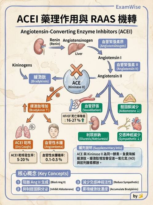 護理師 - 抗高血壓與血管藥物 - AI 圖文解析預覽